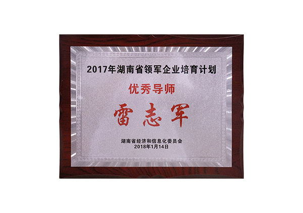 2017年湖南省領(lǐng)軍企業(yè)培育計劃優(yōu)秀導(dǎo)師“雷志軍”牌匾